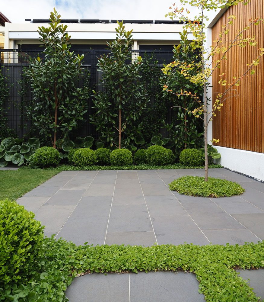 A home’s backyard features trees, bushes, and a fluffy ground cover plant. Tumbled Bluestone tiles form rectangular steppers with light grout.